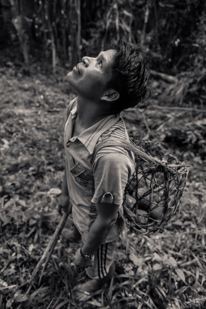 Jon Cox and Andrew Bale, Brazil Nut Harvest, 2016, platinum palladium print, 8 x 12 in.