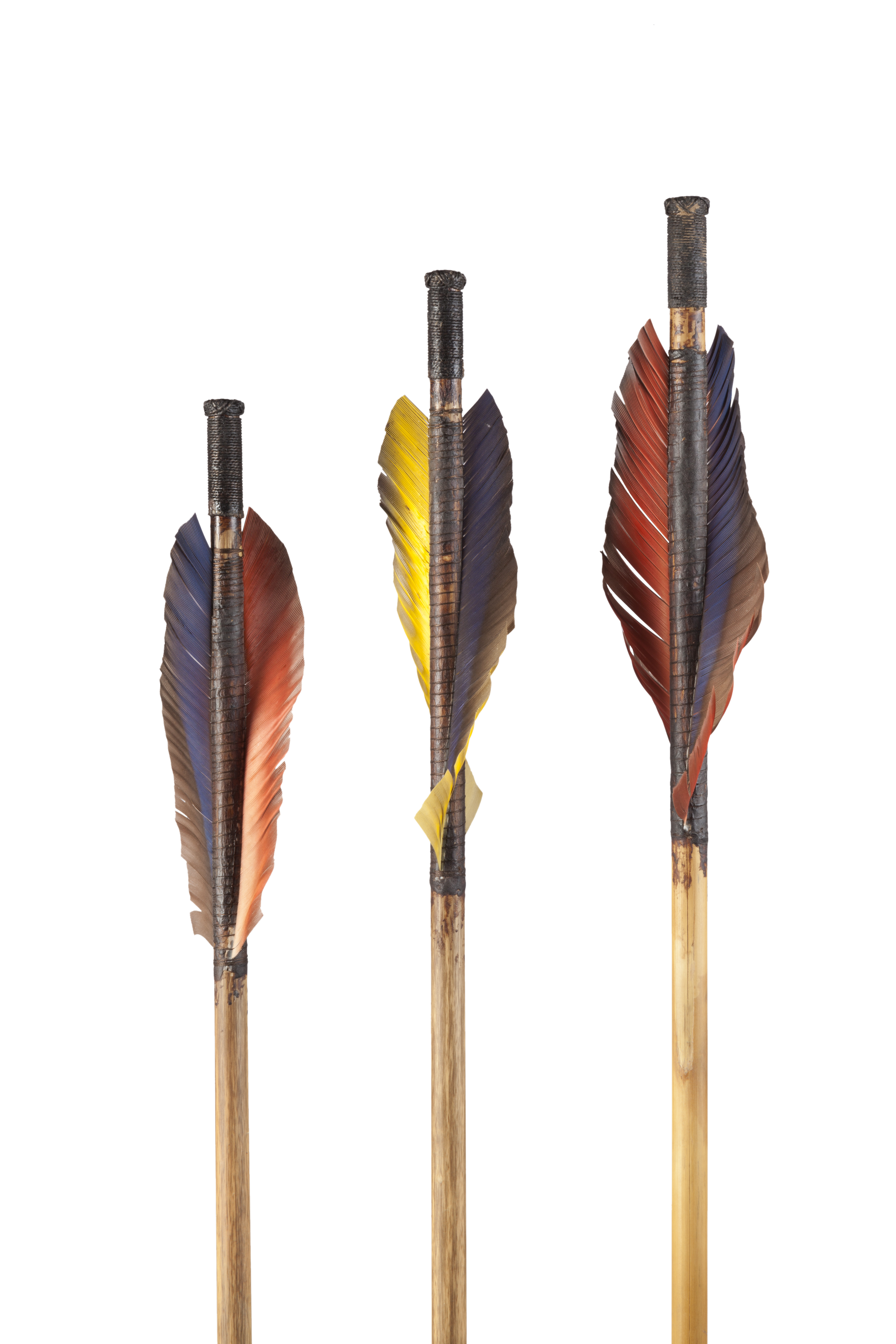 Ese'Eja Arrows